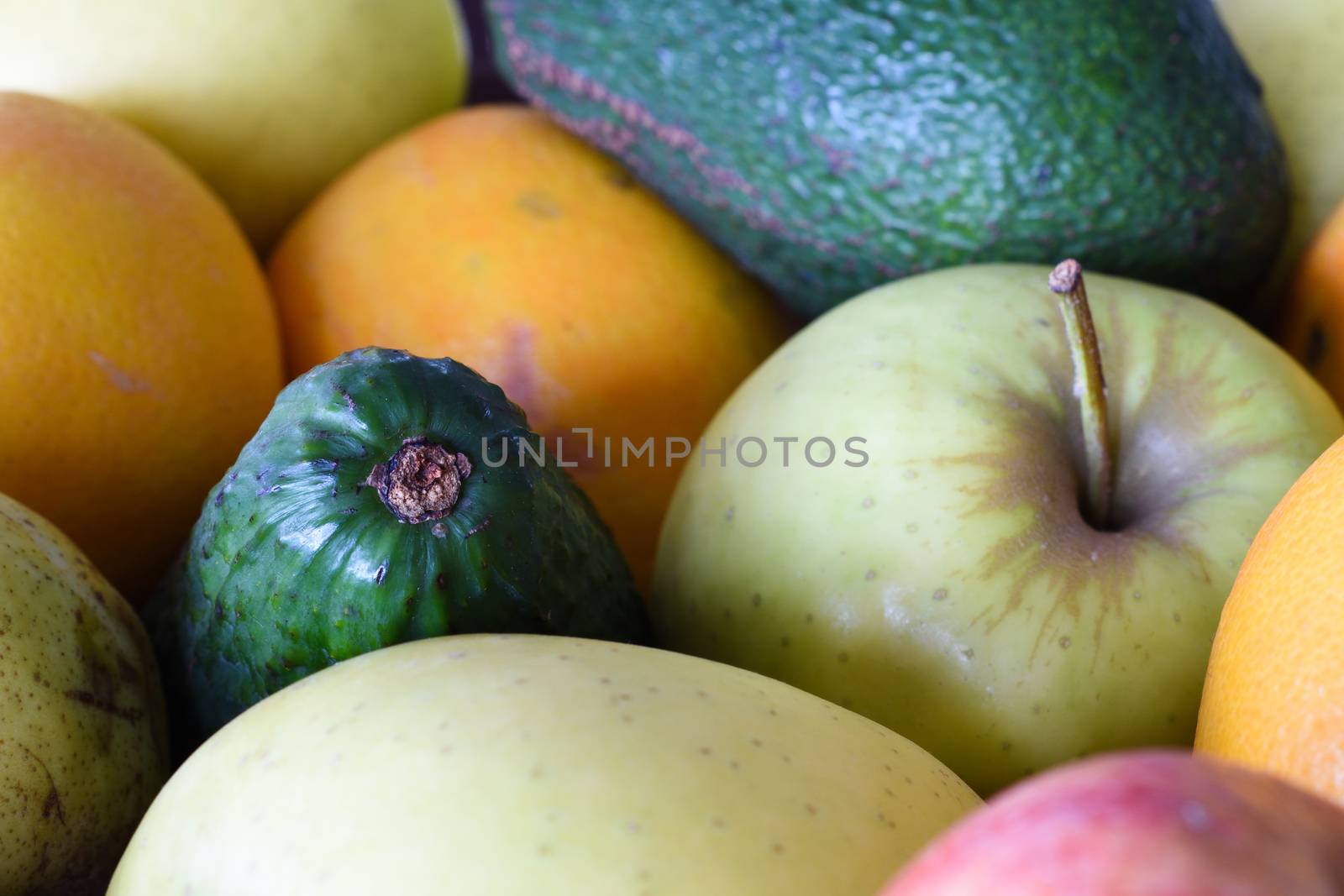 A close-up frame of a variety of mixed fresh fruits including avocados