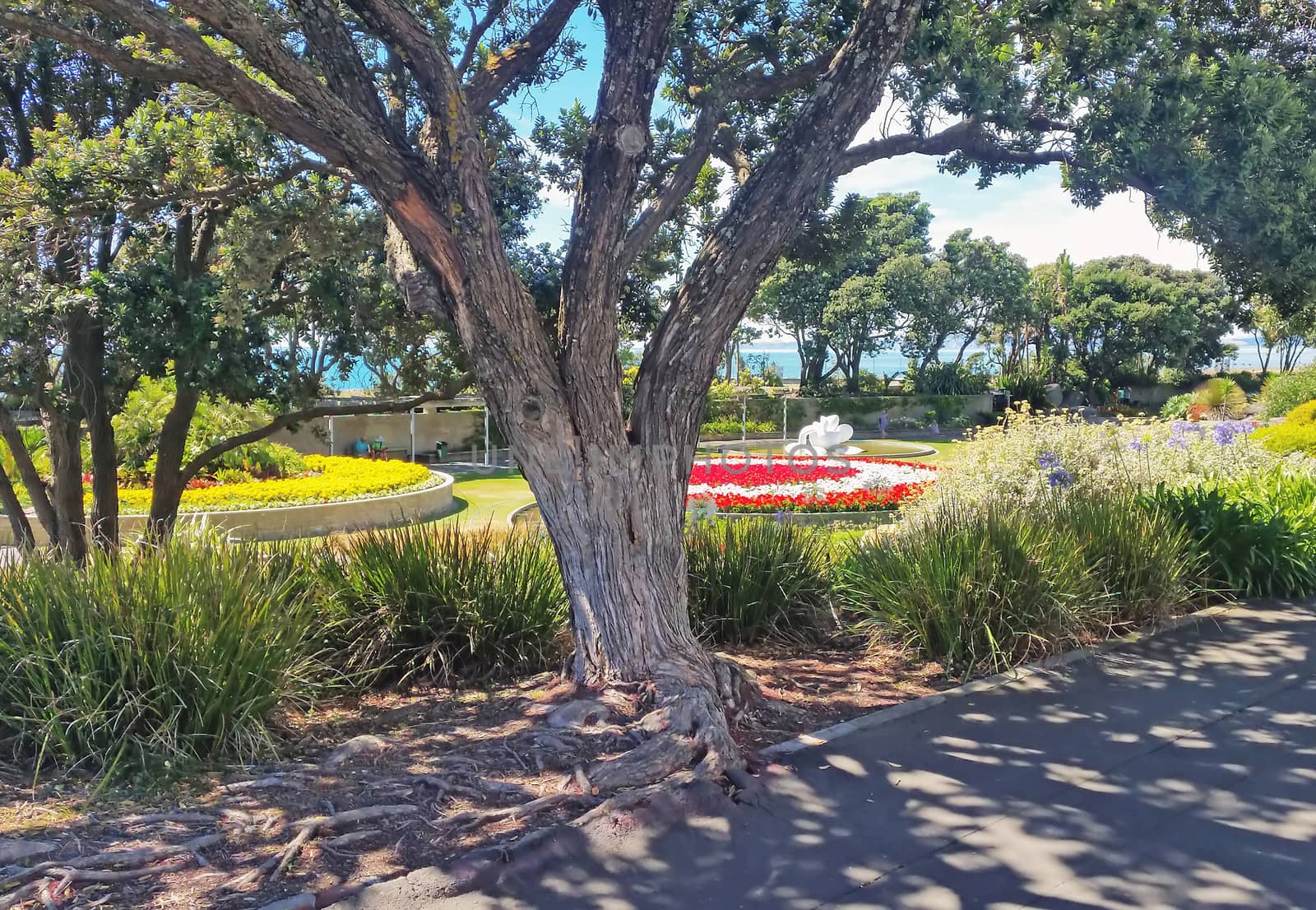 Park on Coast in Napier City, New Zealand