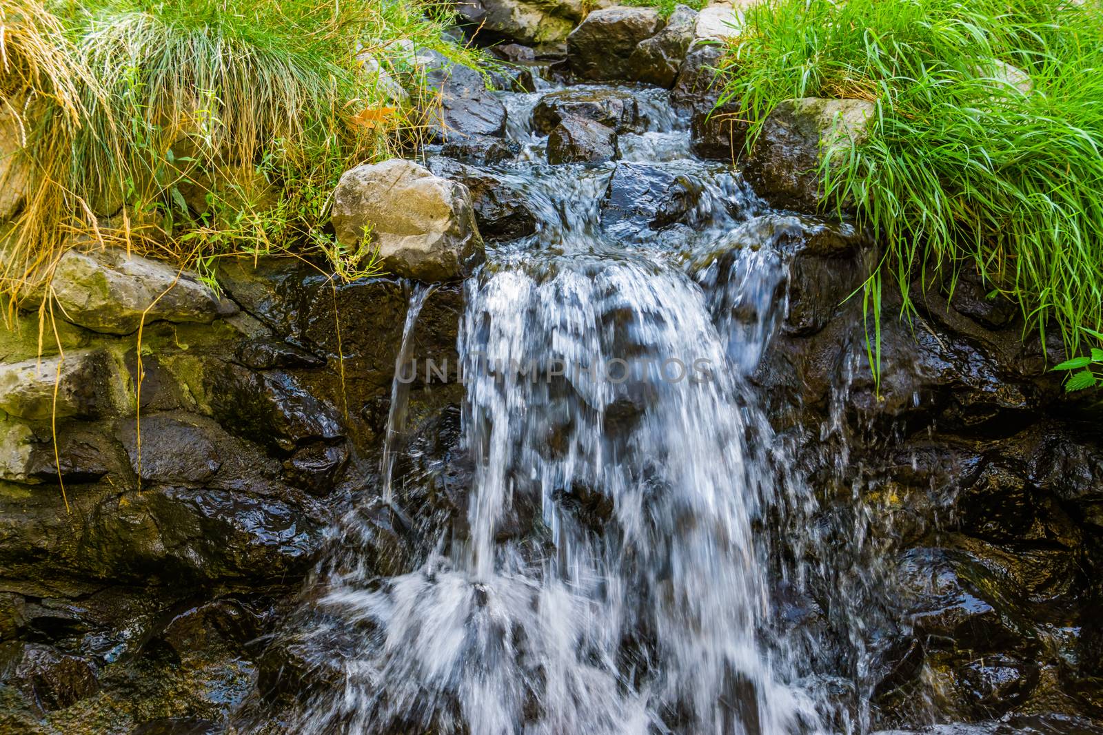 small streaming waterfall, water flowing over rocks, beautiful nature background by charlottebleijenberg