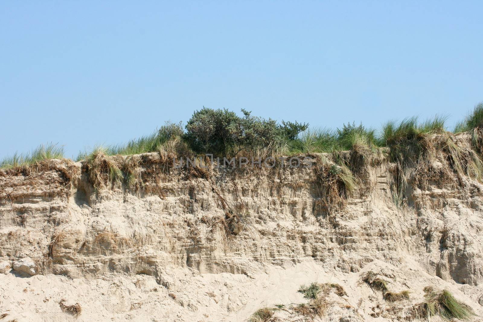 a sandy cliff on the sea coast