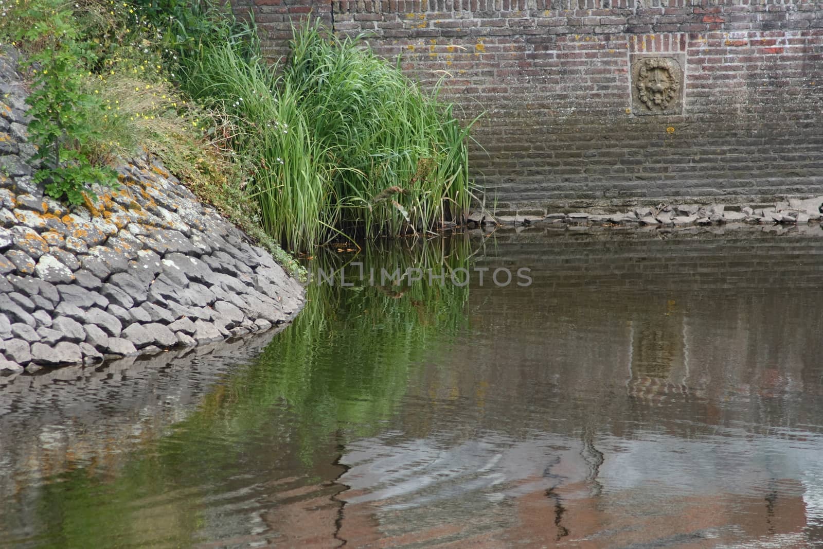 Fortified dam with large stones and reed beds