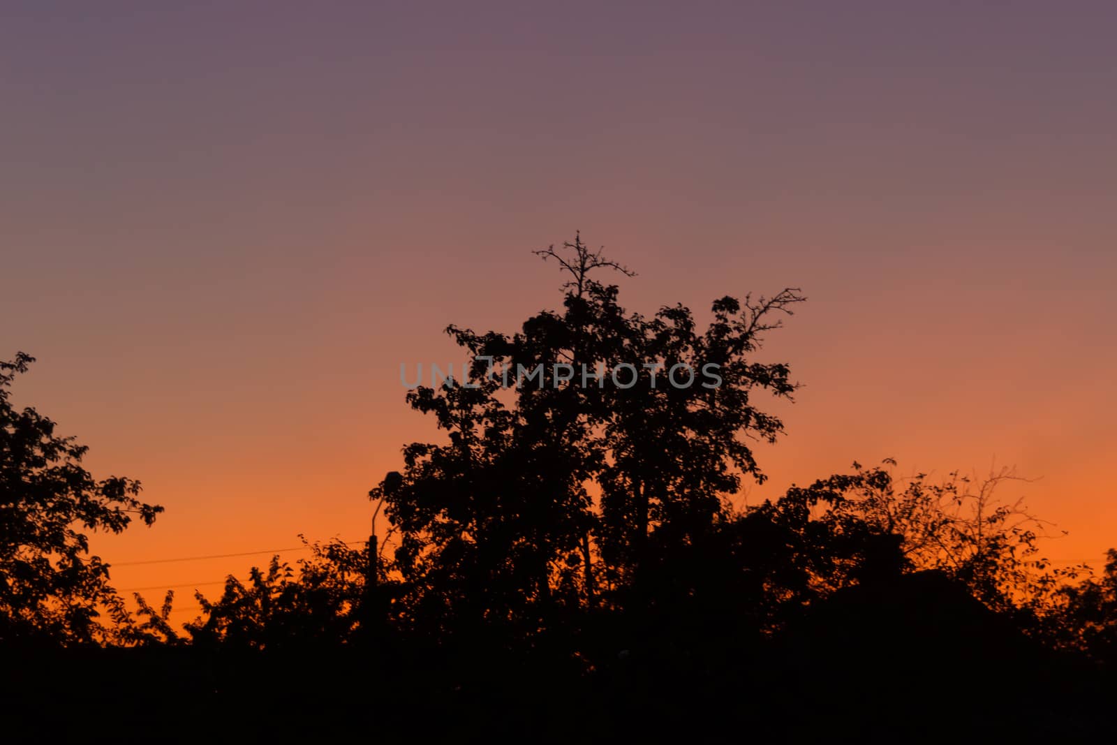 Evening sunset in the village a far away from the city. The sky is saturated with orange and blue colours. On foreground silhouttes of trees. Underexposed low light photo.