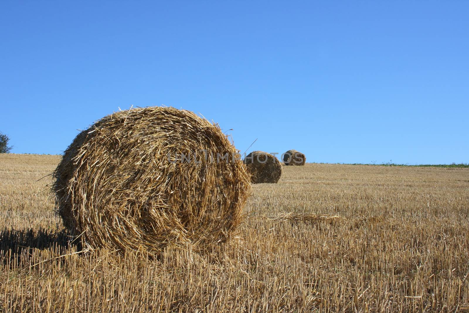 Large round straw roll with blue sky in background