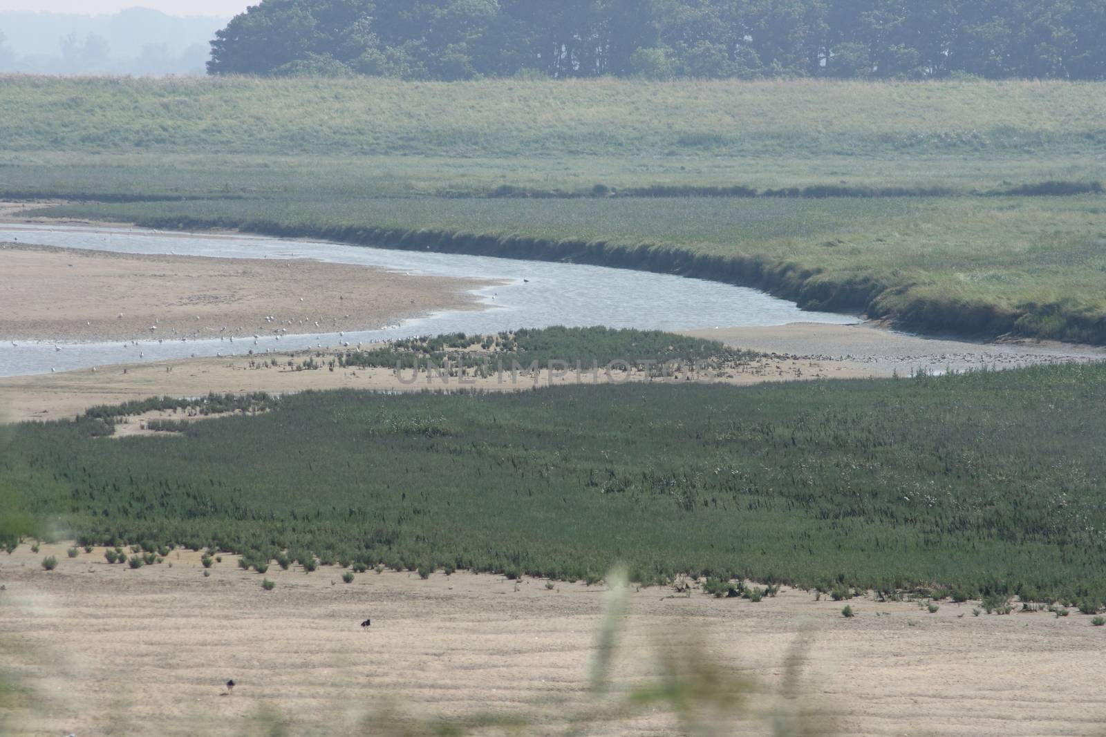 Nature Reserve (Het Zwin) by hadot