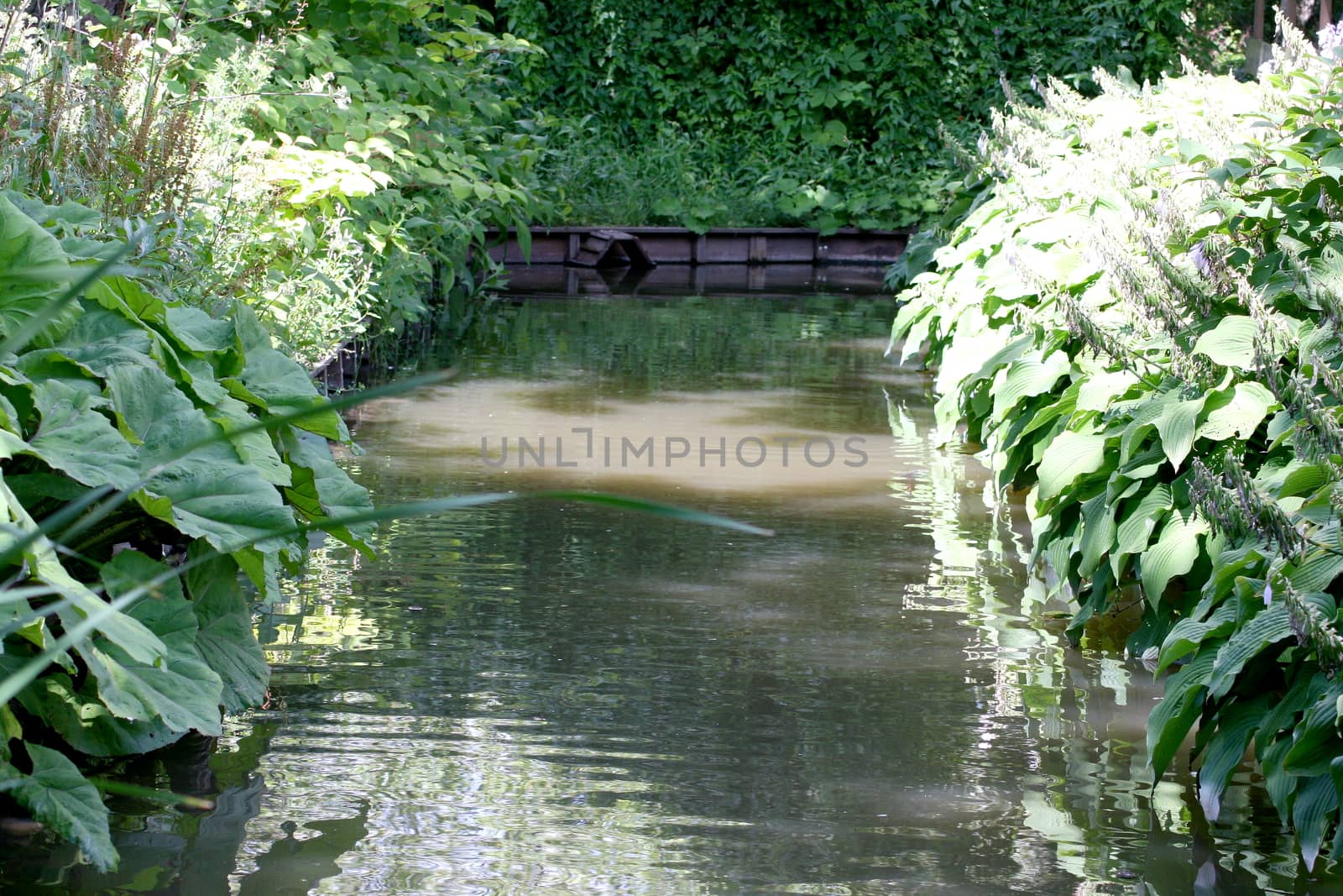 one of green plants trimmed narrow watercourse