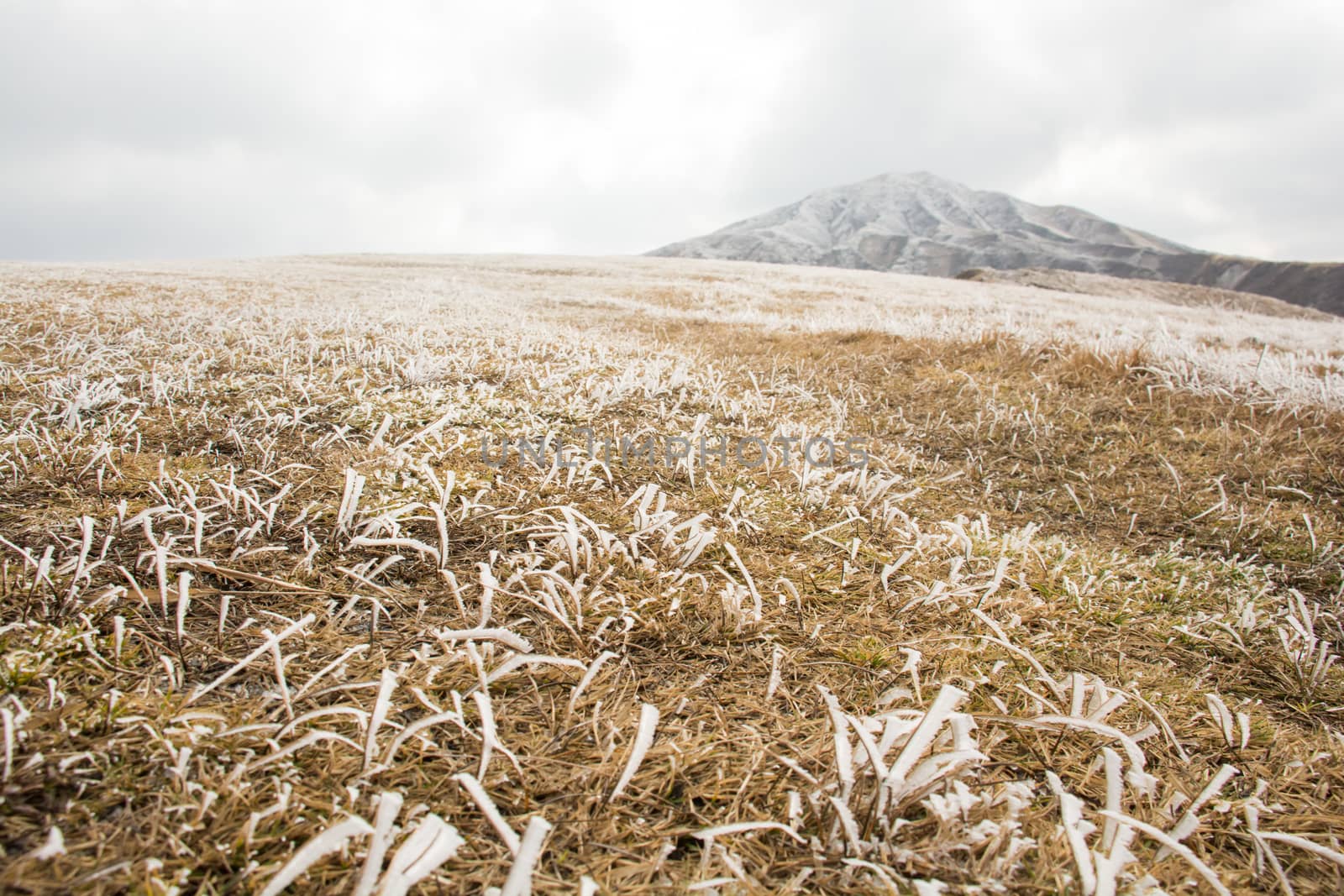 Mount Aso and Kusasenri in winter. covered by golden yellow grassland - Kumamoto, Japan