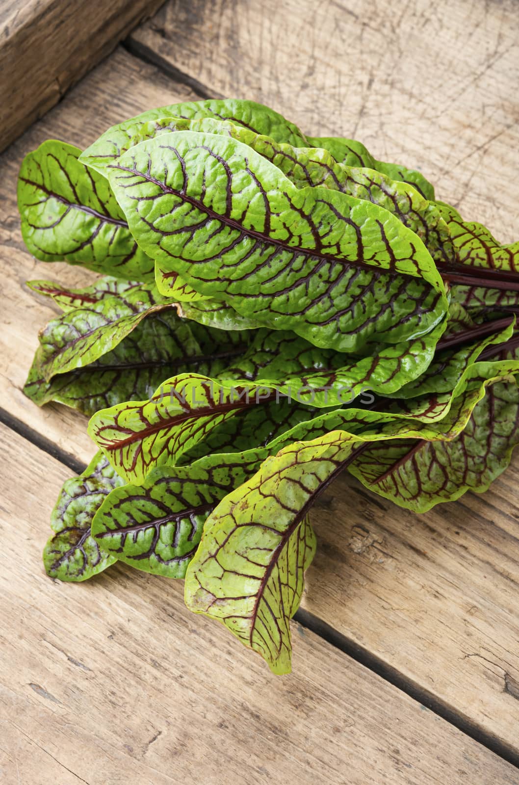 Bunch of fresh sorrel on wooden background.Sorrel bloody mary