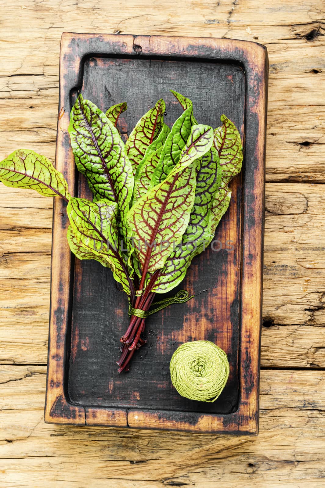 Bunch of fresh sorrel on wooden table.Sorrel bloody mary