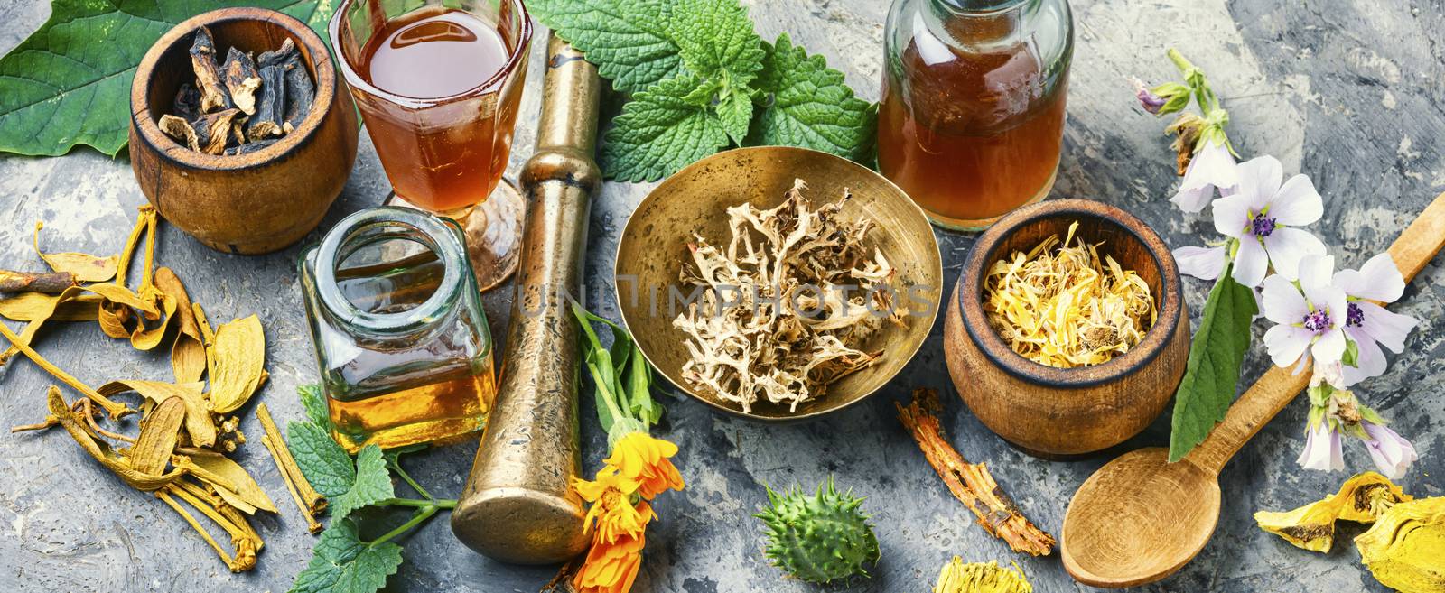 Healing herbs with mortar and bottle of elixir.Homeopathy medicine concept