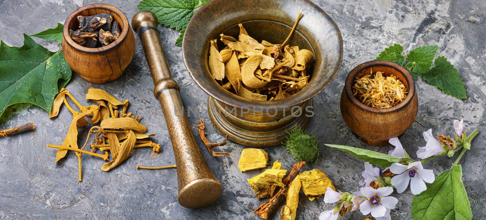 Mortar and bowl of raw and dried healing herbs.Alternative or herbal medicine