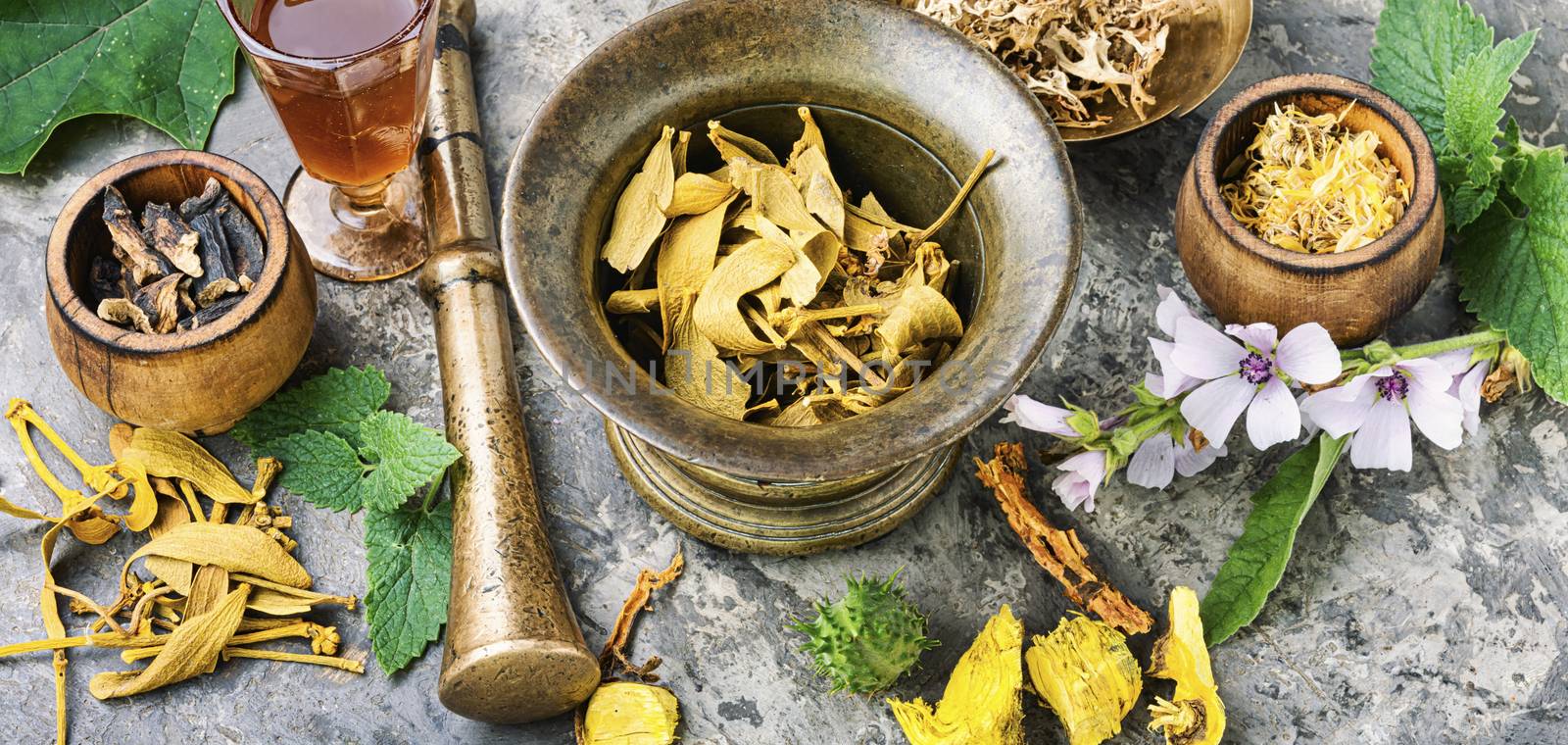 Mortar and bowl of raw and dried healing herbs.Alternative or herbal medicine