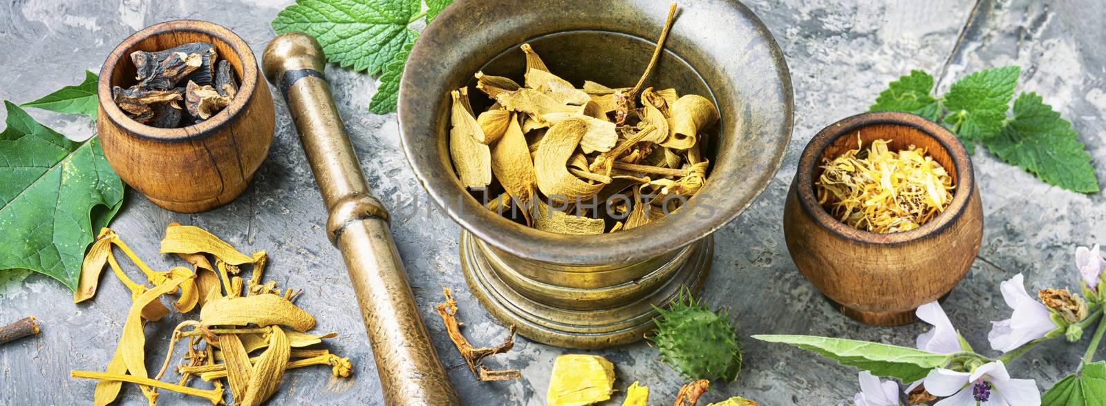 Set healing herbs by LMykola