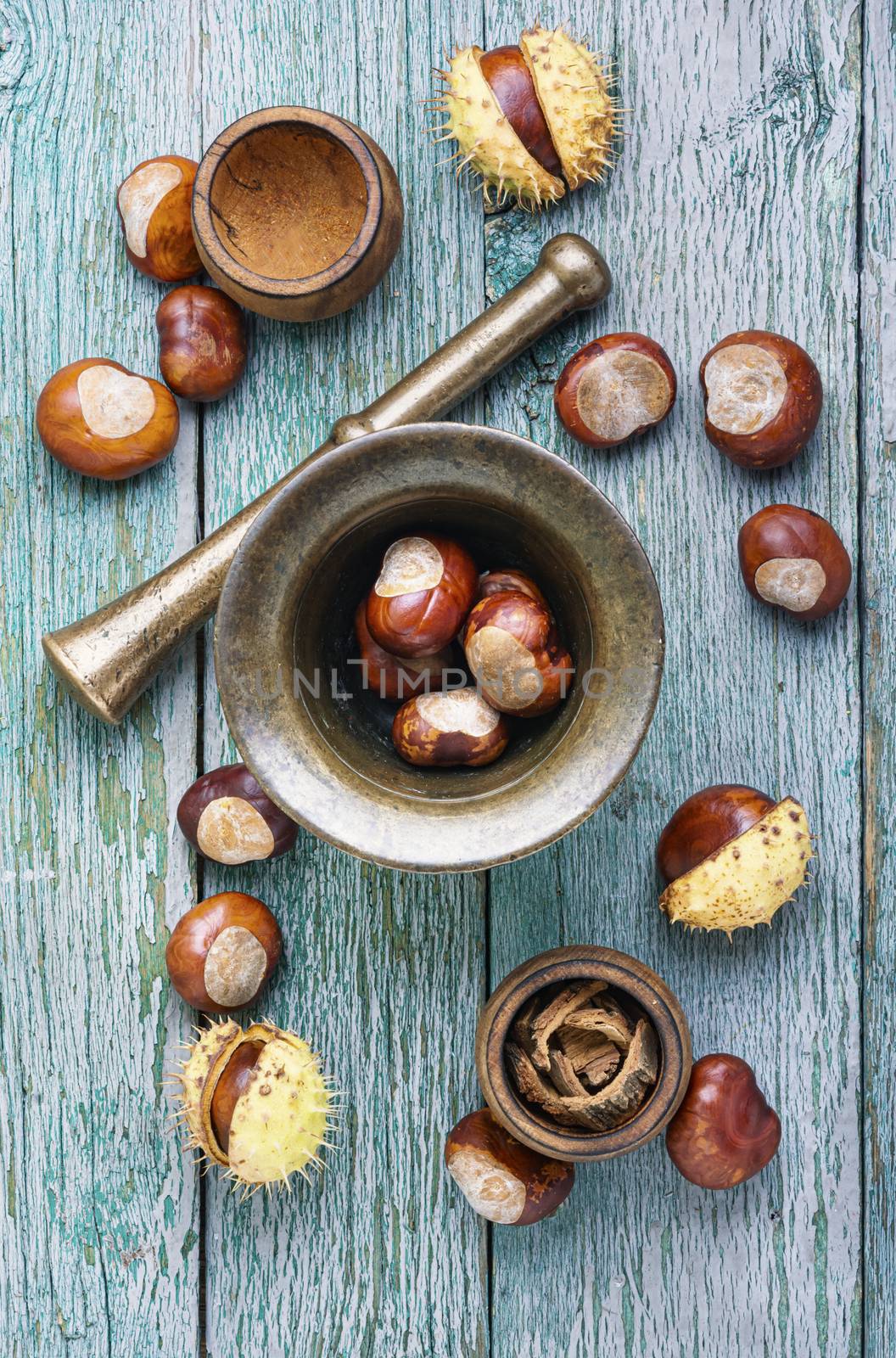 Chestnut and its ingredients in medicine.Herbal medicine and homeopathy
