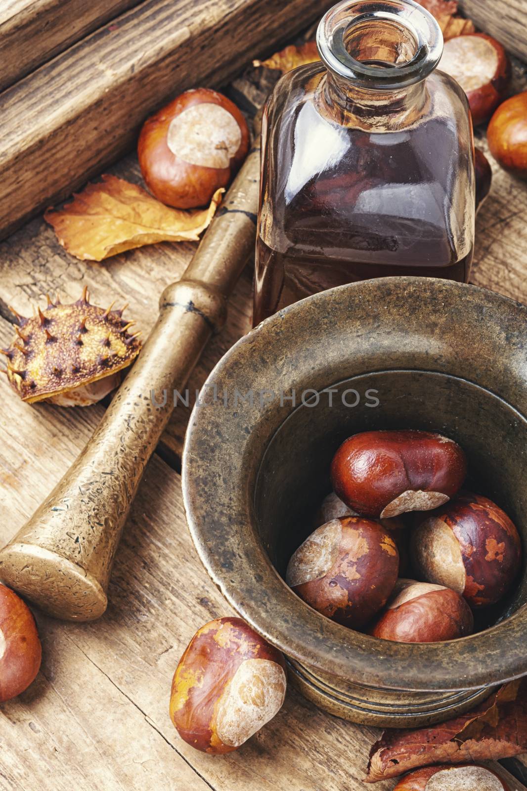 Horse chestnut oil extract in herbal medicine.Alternative medicine concept