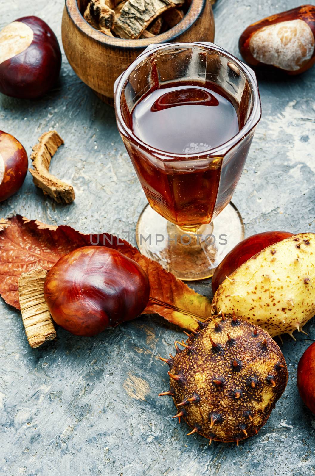 Chestnut in herbal medicine by LMykola