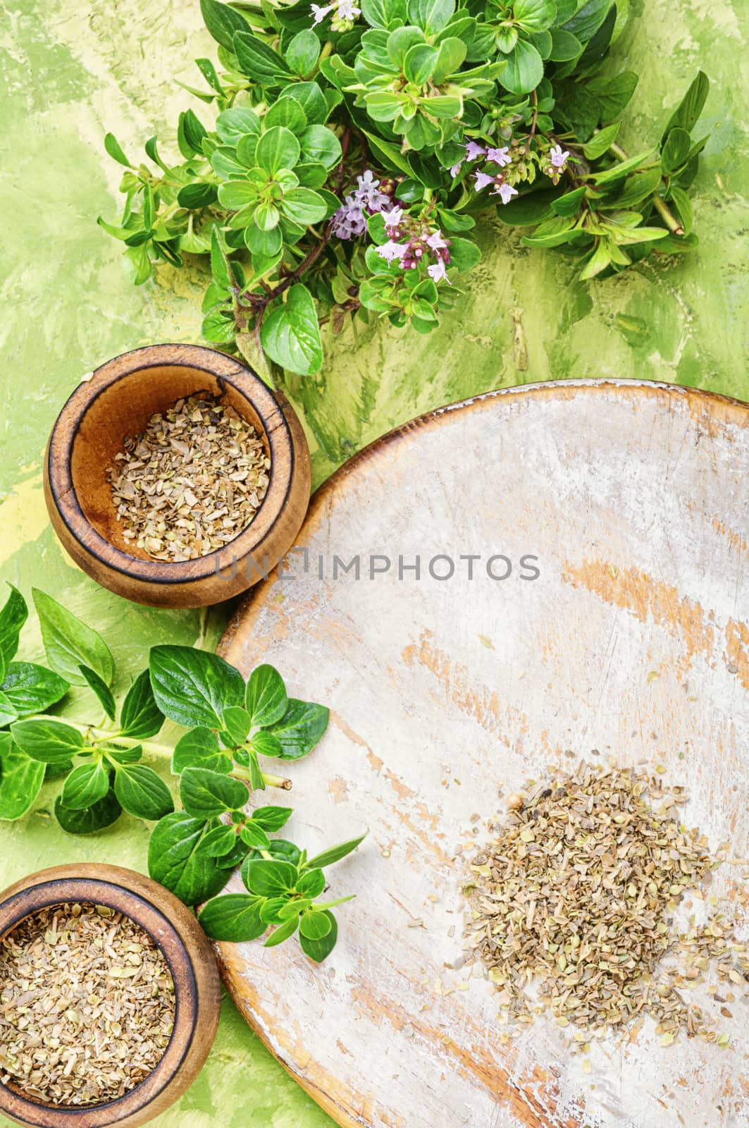 Fresh and dried oregano herb by LMykola