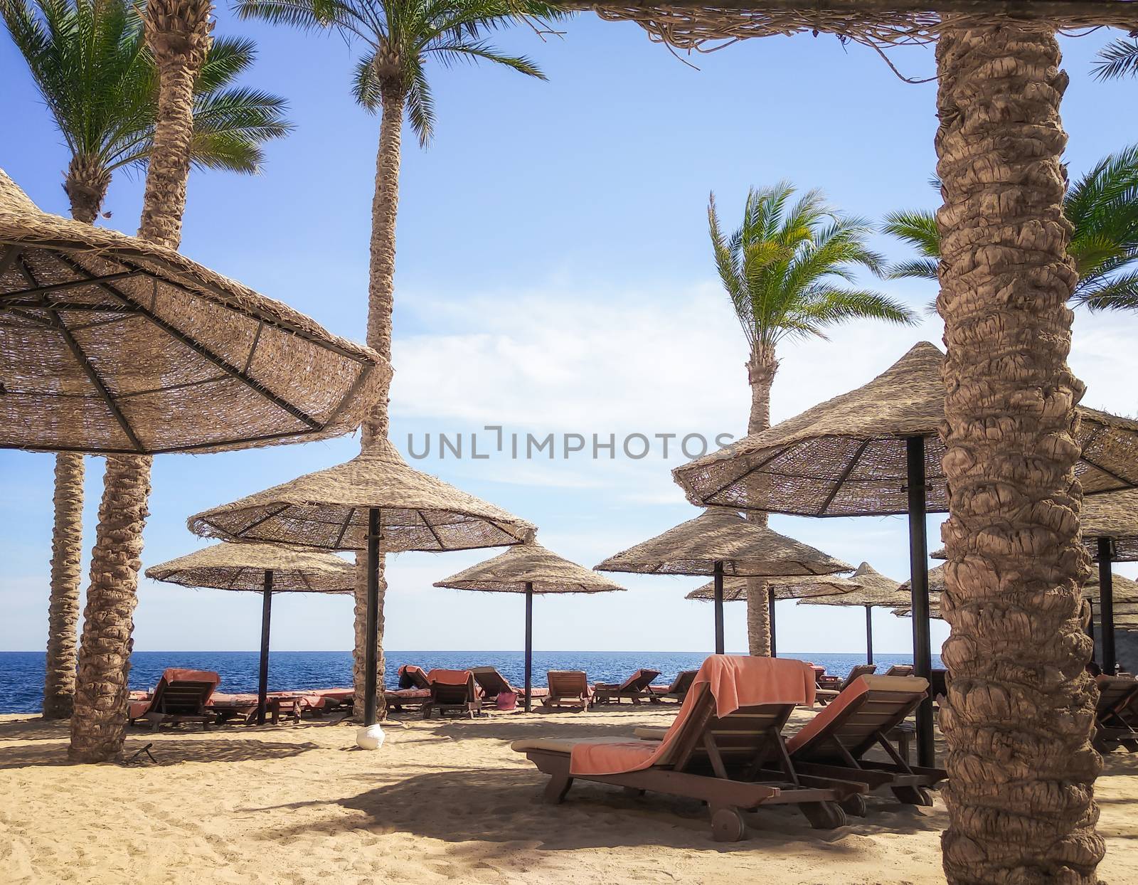 tourist beach without people with palm trees and wooden umbrellas in Egypt Sharm El Sheikh