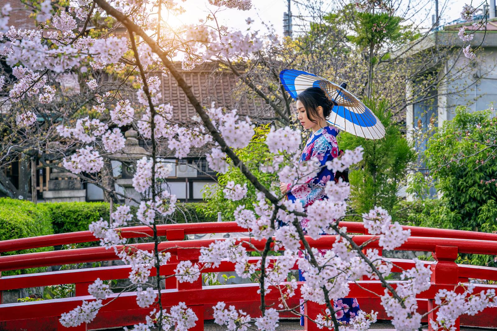 Asian woman wearing japanese traditional kimono and cherry blossom in spring, Kyoto temple in Japan.