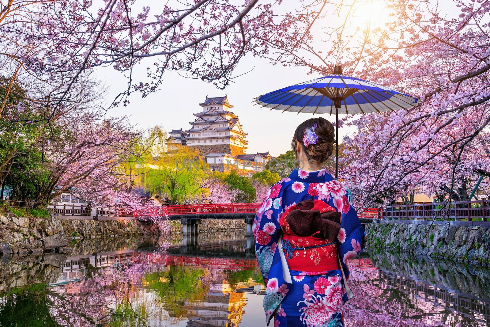 Asian woman wearing japanese traditional kimono looking at cherry blossoms and castle in Himeji, Japan. by gutarphotoghaphy