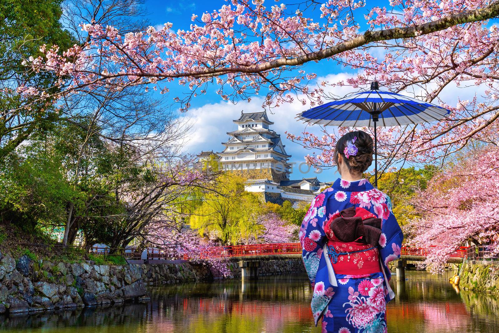 Asian woman wearing japanese traditional kimono looking at cherry blossoms and castle in Himeji, Japan. by gutarphotoghaphy