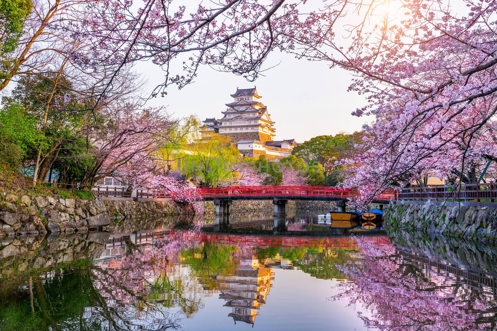 Cherry blossoms and castle in Himeji, Japan. by gutarphotoghaphy