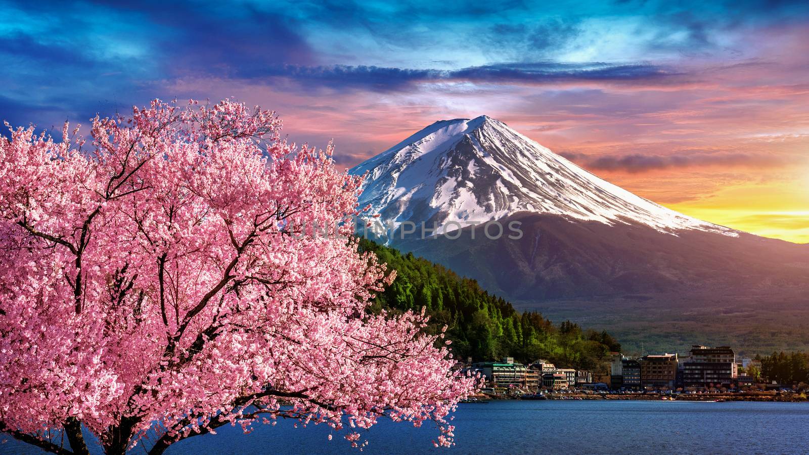 Fuji mountain and cherry blossoms in spring, Japan. by gutarphotoghaphy
