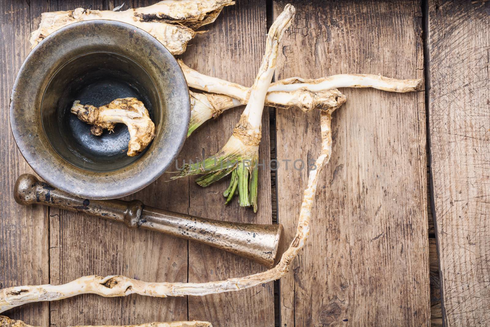 Fresh horseradish roots on wooden table.Ingredient for cooking spices.