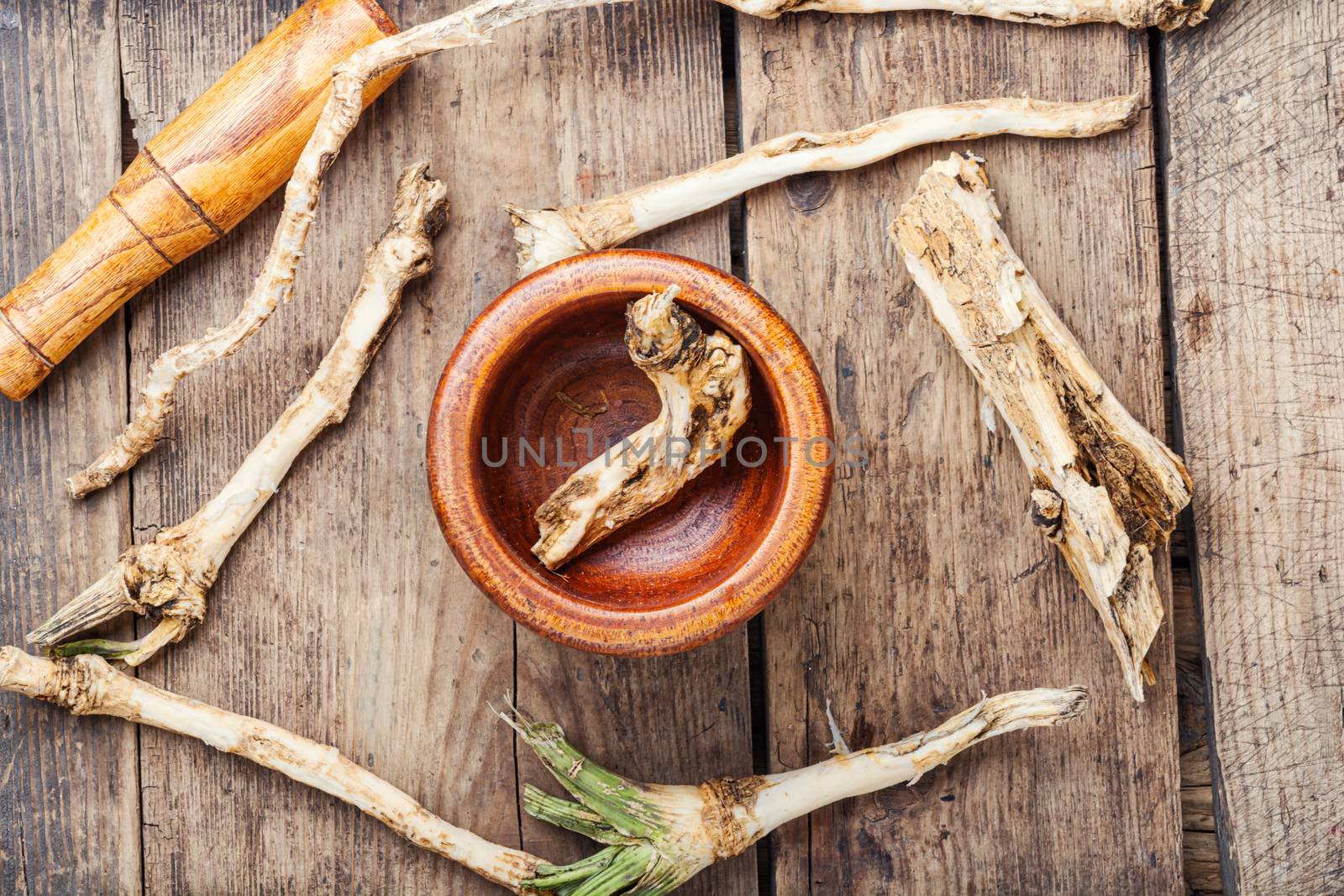 Fresh horseradish roots on wooden table.Ingredient for cooking spices.