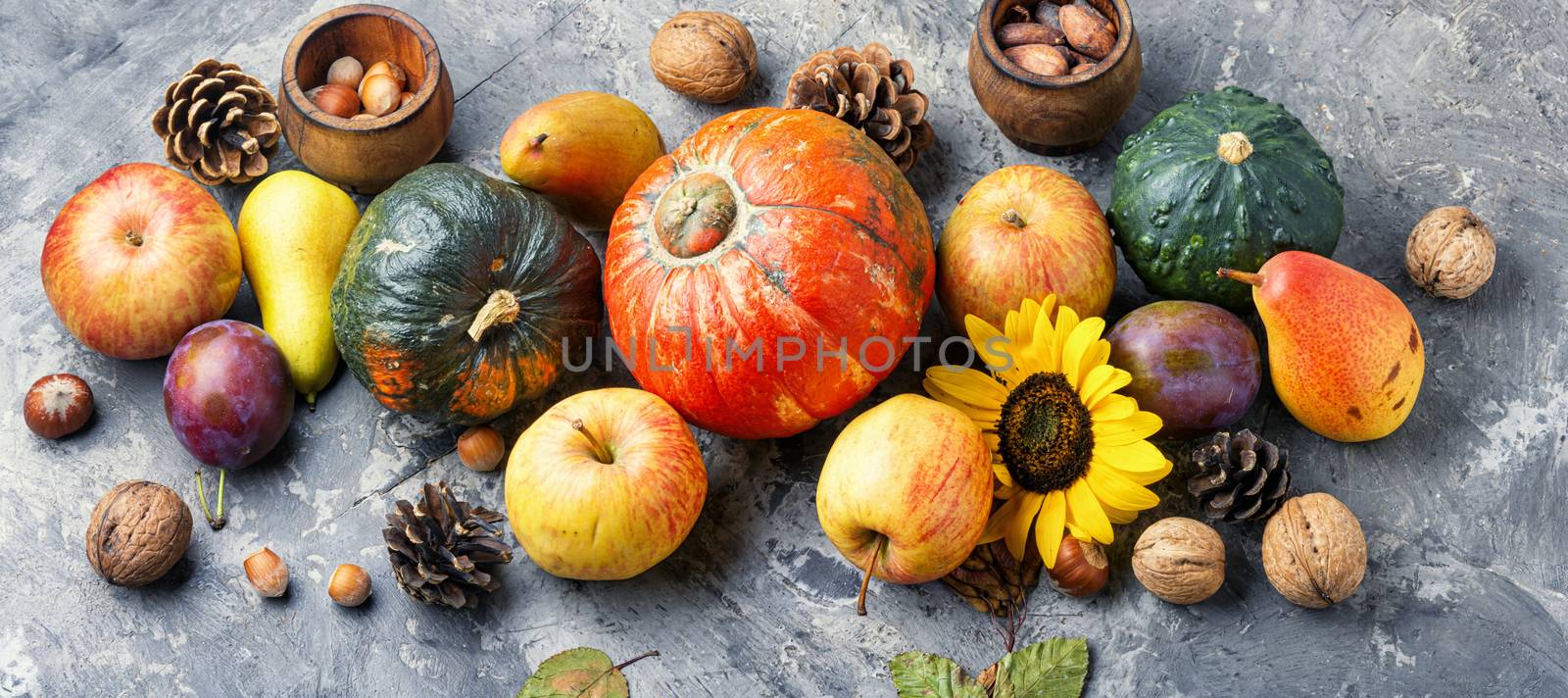 Autumn composing with pumpkin, fruit and fall leaves
