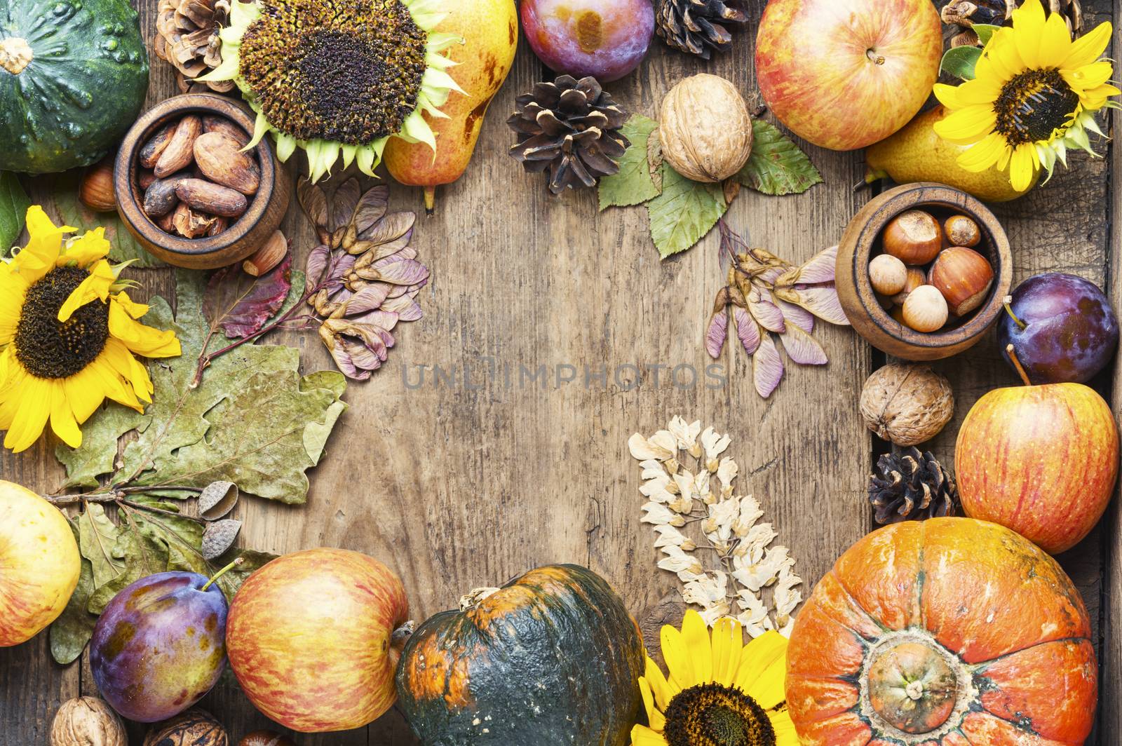 Pumpkins,nut and fruits in autumn still life on wooden table.Fall still life