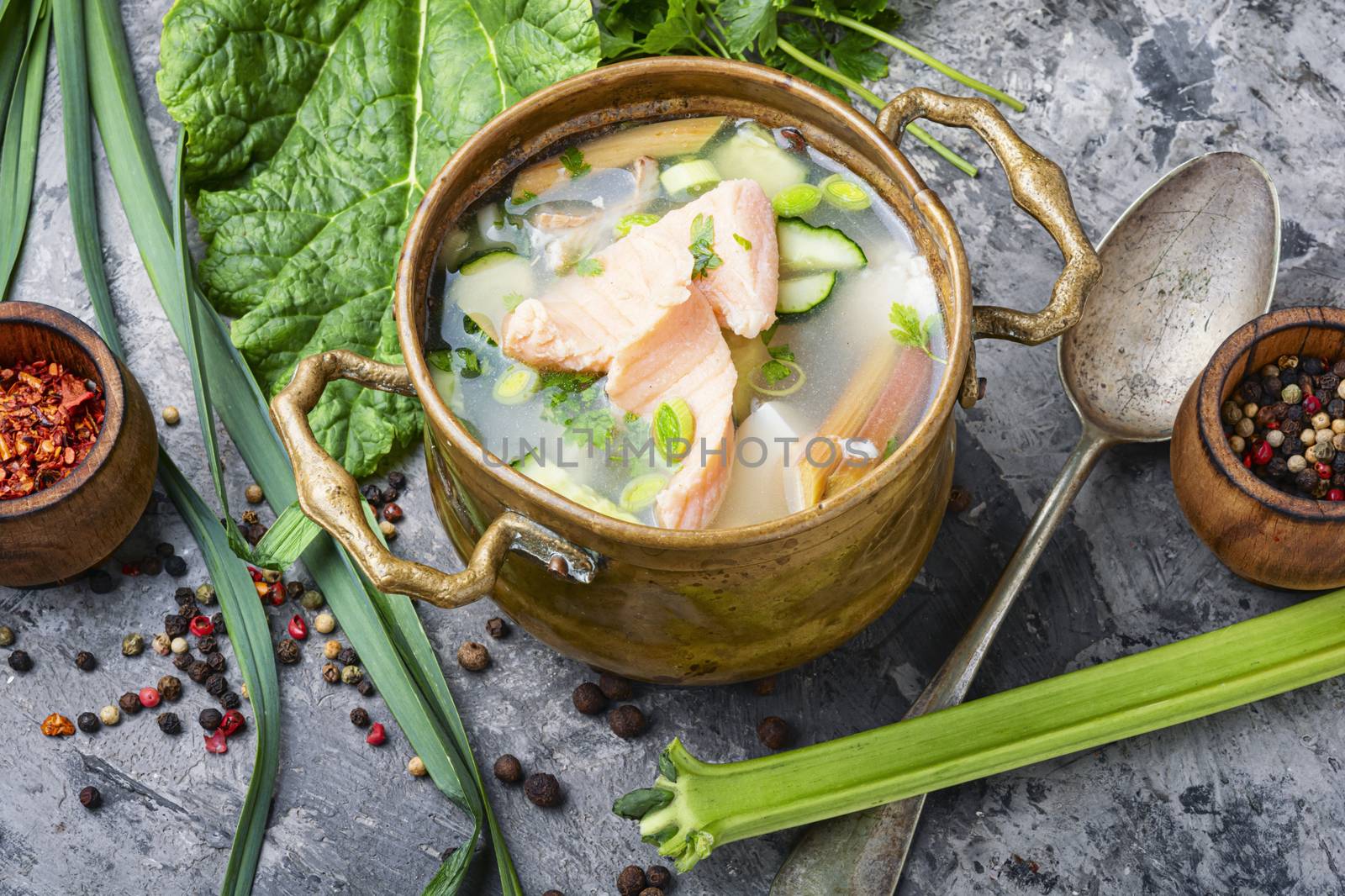 Cold soup with rhubarb and fish.Summer cold soup.Salmon soup