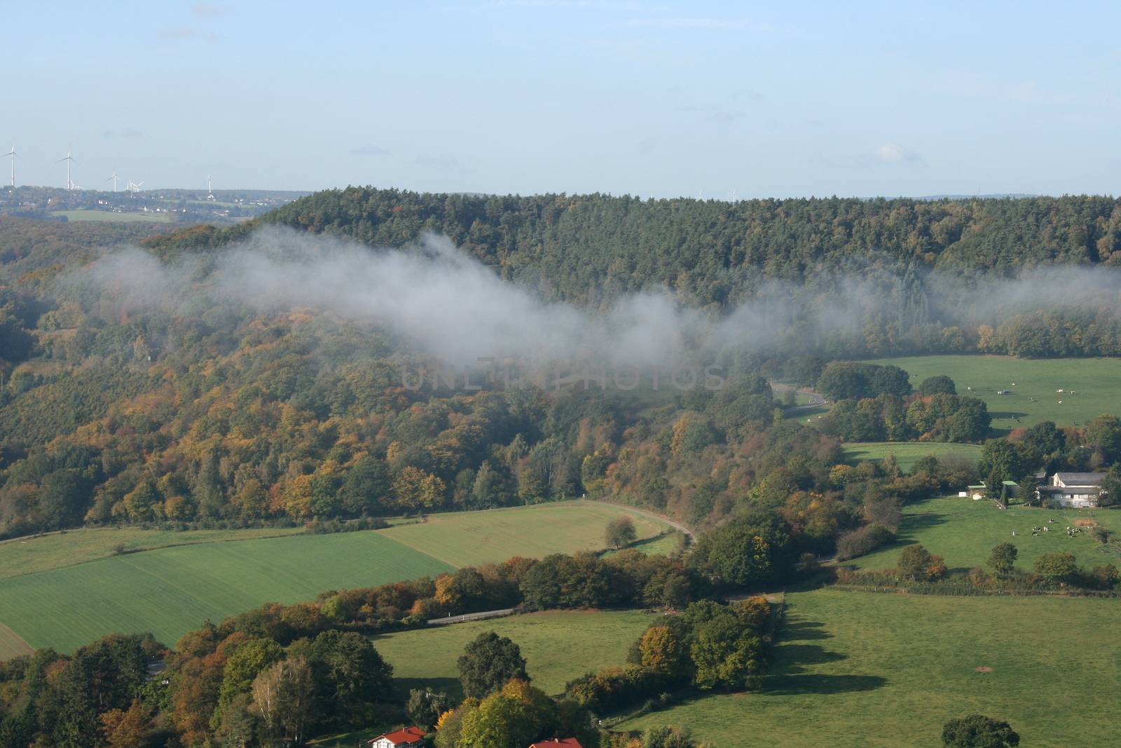 A wooded mountain range with fog