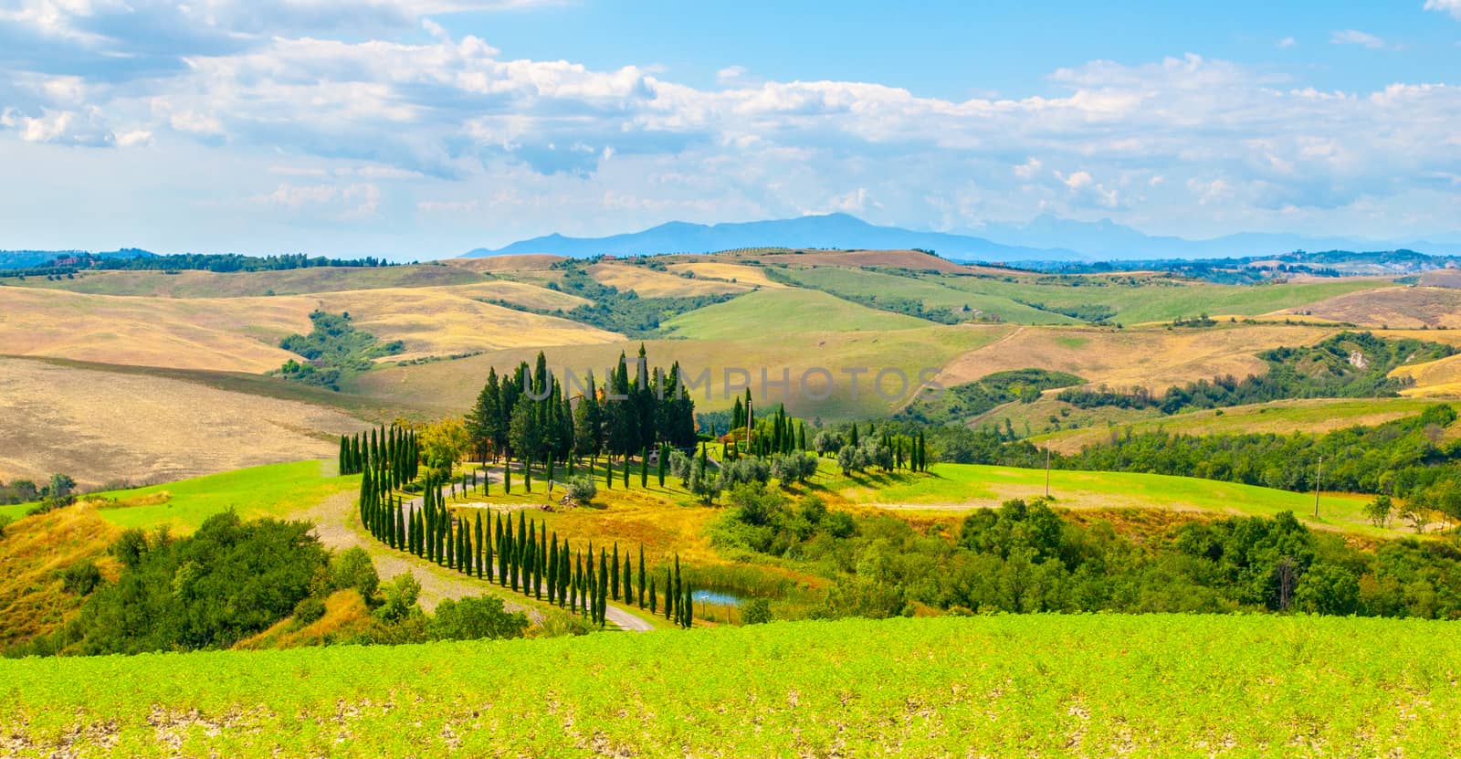 Evening in Tuscany. Hilly Tuscan landscape with cypress trees alley and farm house, Italy.