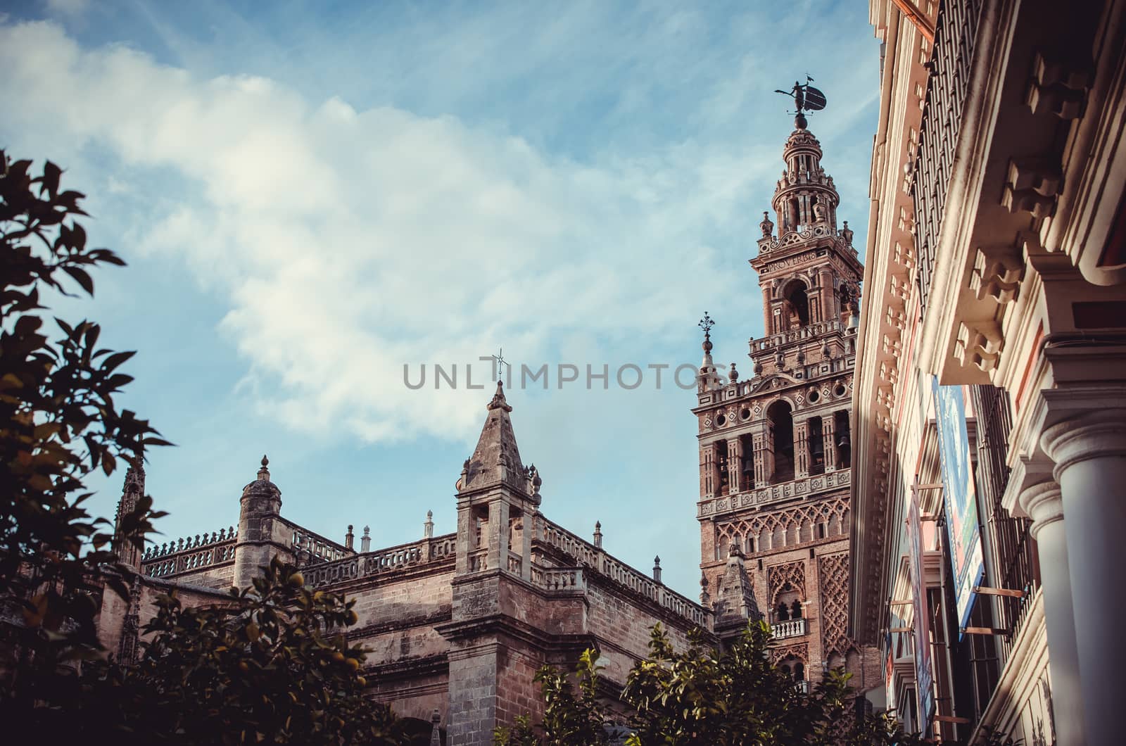 Patio de Banderas square, or Orange Trees square, one of the places where the Giralda tower can be seen in Sevilla, Spain