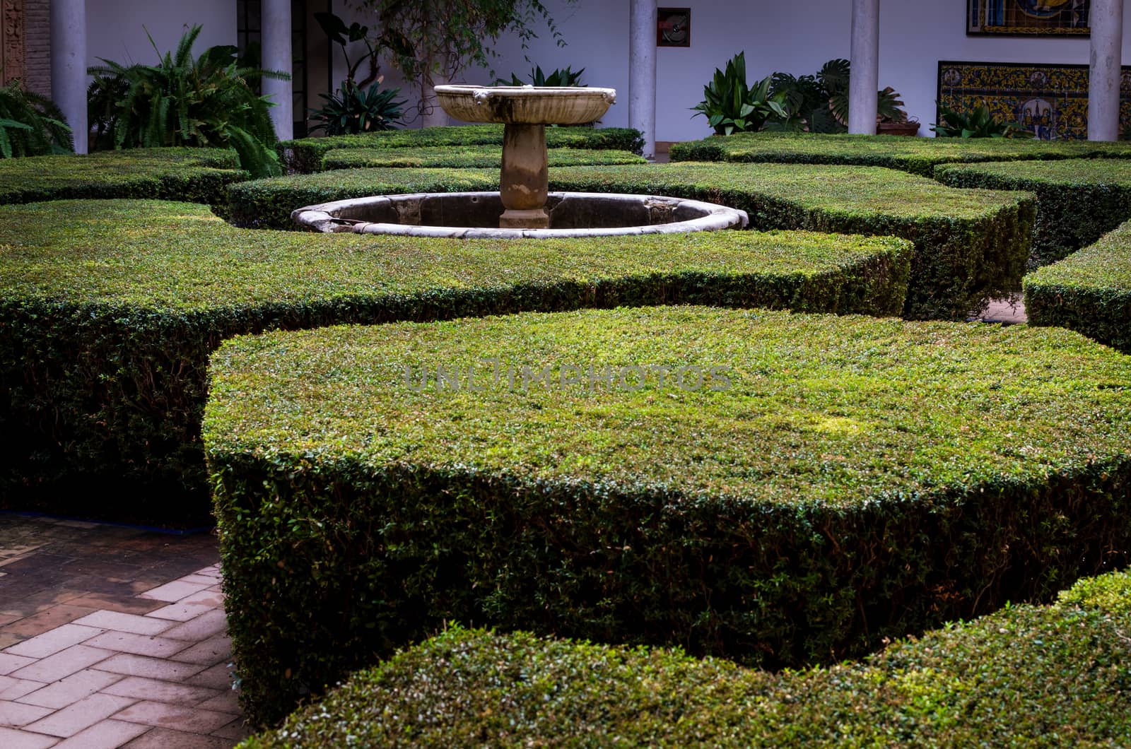 Hexagonal and other geometrical shape bushes form a little laberint around a water fountain