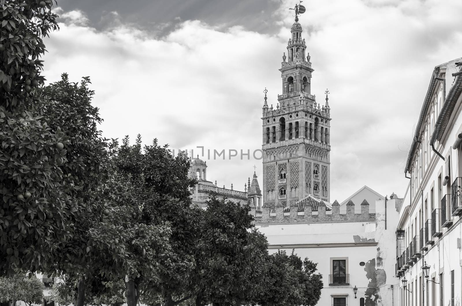 The Giralda tower in black and white by mikelju