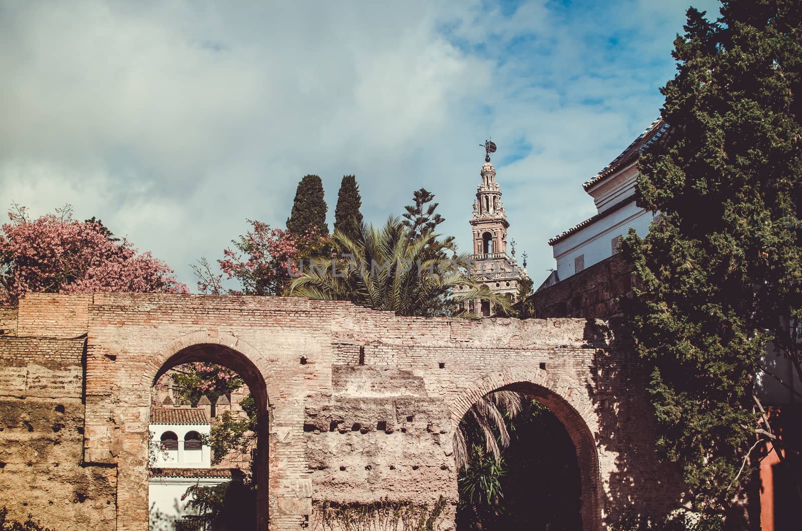 The Giralda tower from Alcazar of Sevilla by mikelju