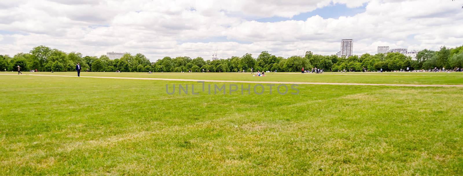 Large lawn in Hyde Park, London, UK