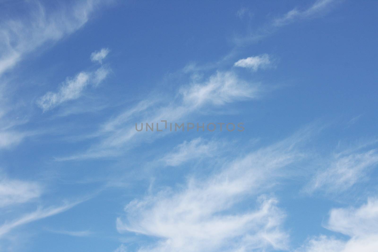 Big fluffy clouds (Altocumulus) with beautiful blue skies