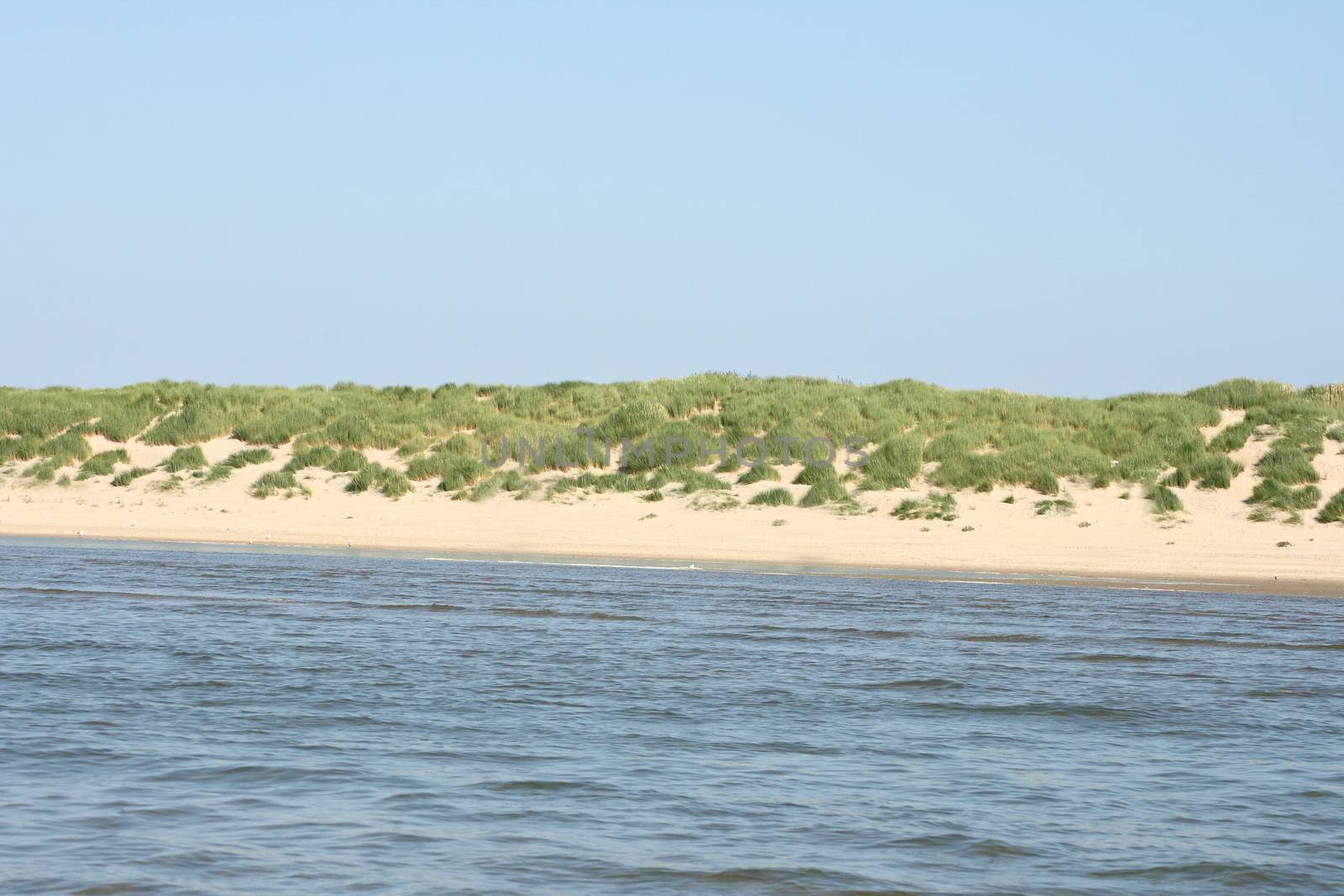 Sandy beach with sand dunes and blue sky in the background