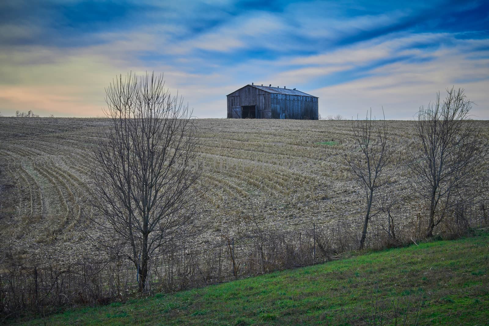 Old Old tobacco barn with harvested corn field. by patrickstock