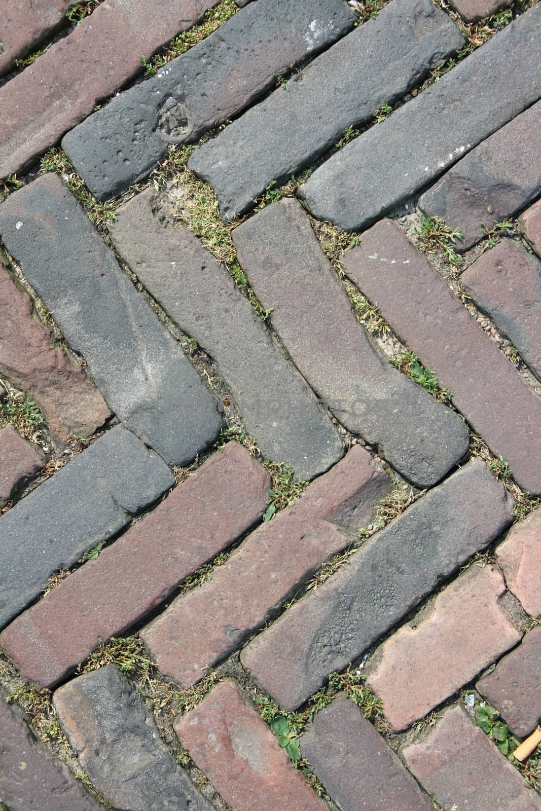 With rectangular colored stones laid pavement