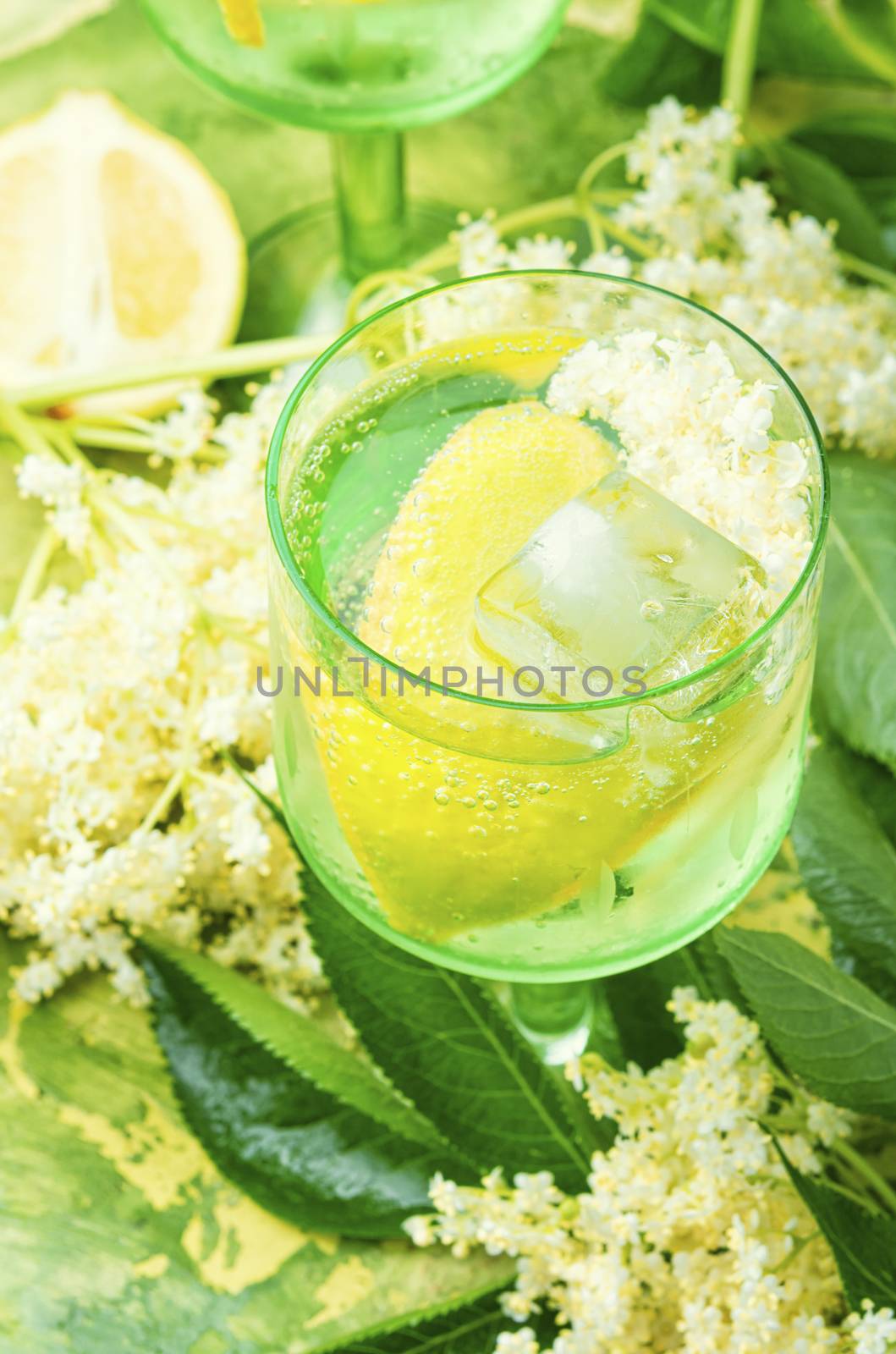 Summer drink from elderberry and lemon inflorescences.Cooling drink.Floral champagne.