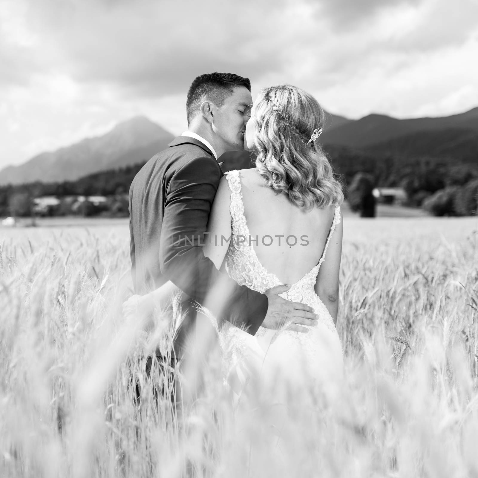 Bride and groom kissing and hugging tenderly in wheat field somewhere in Slovenian countryside. by kasto