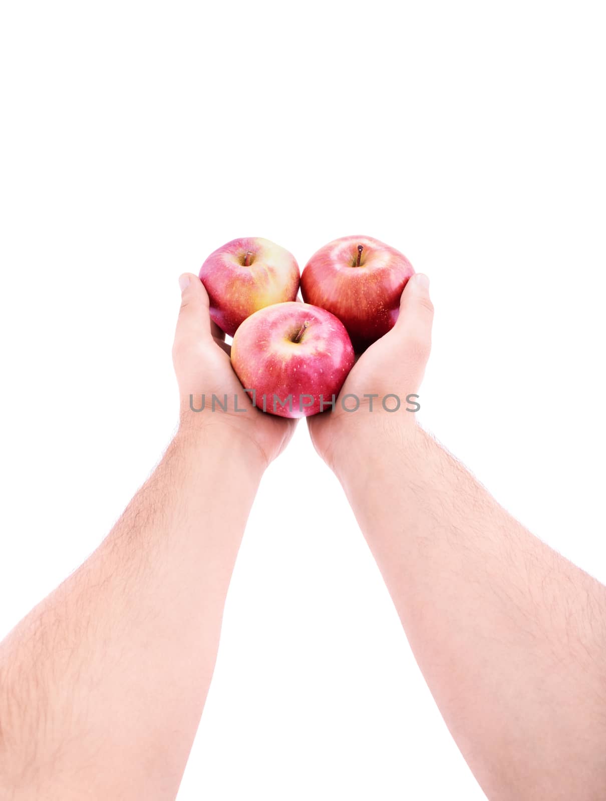 Stretched out hands offering red apples by Mendelex