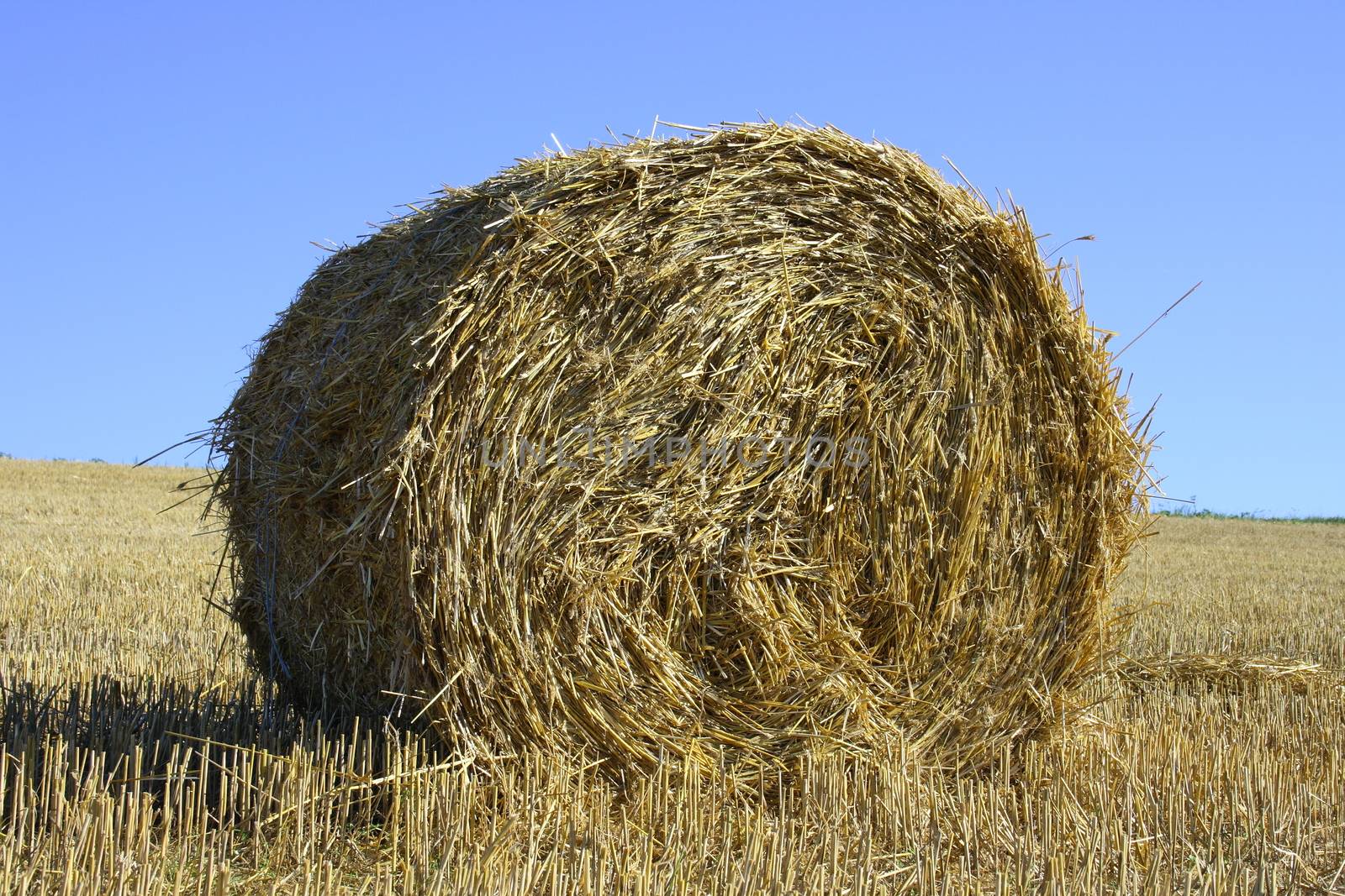 Large round straw roll with blue sky in background