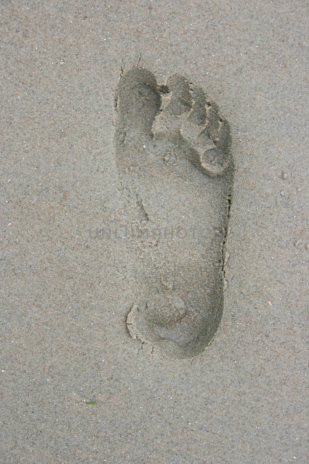 A Human Footprint in the sand