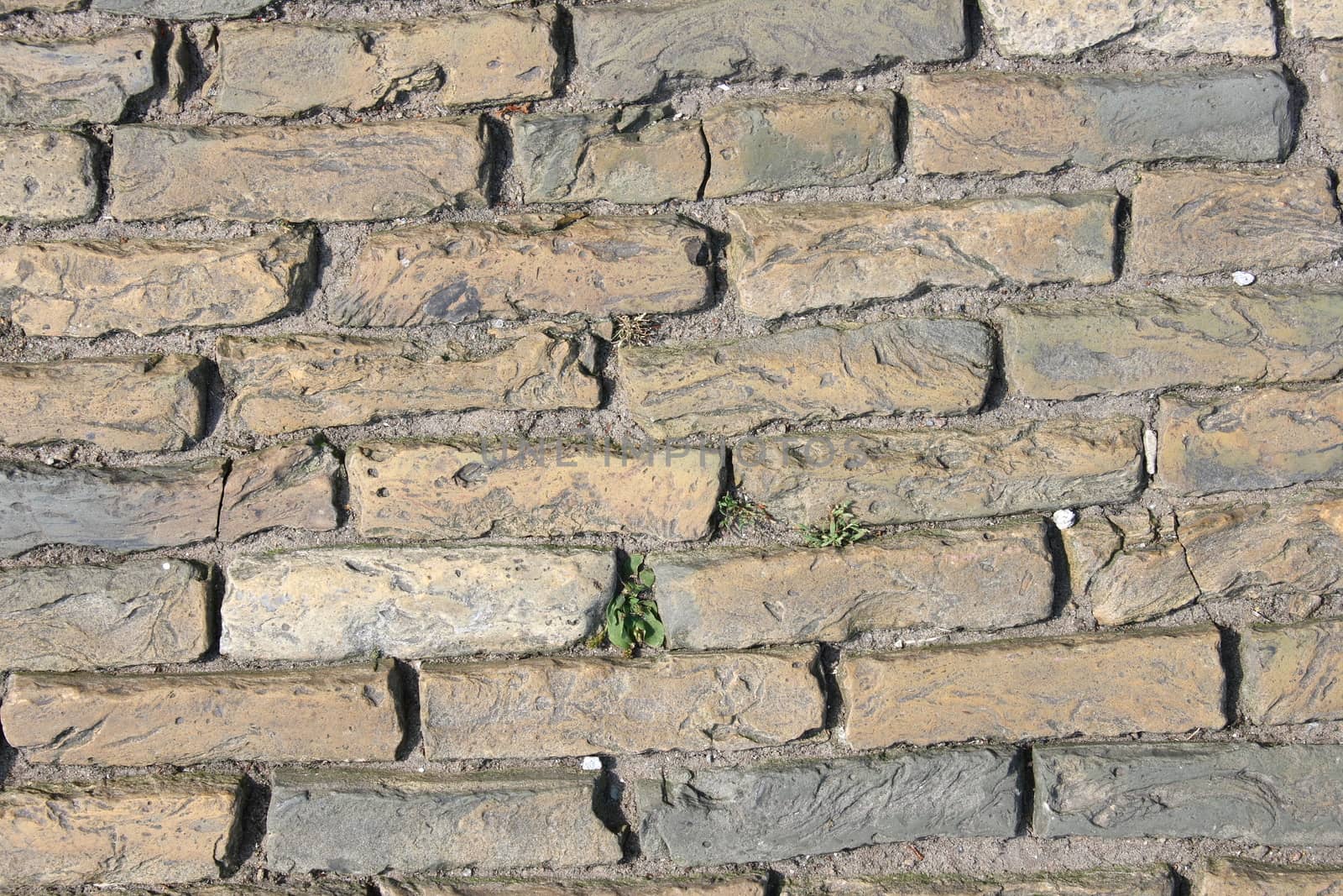 With rectangular colored stones laid pavement