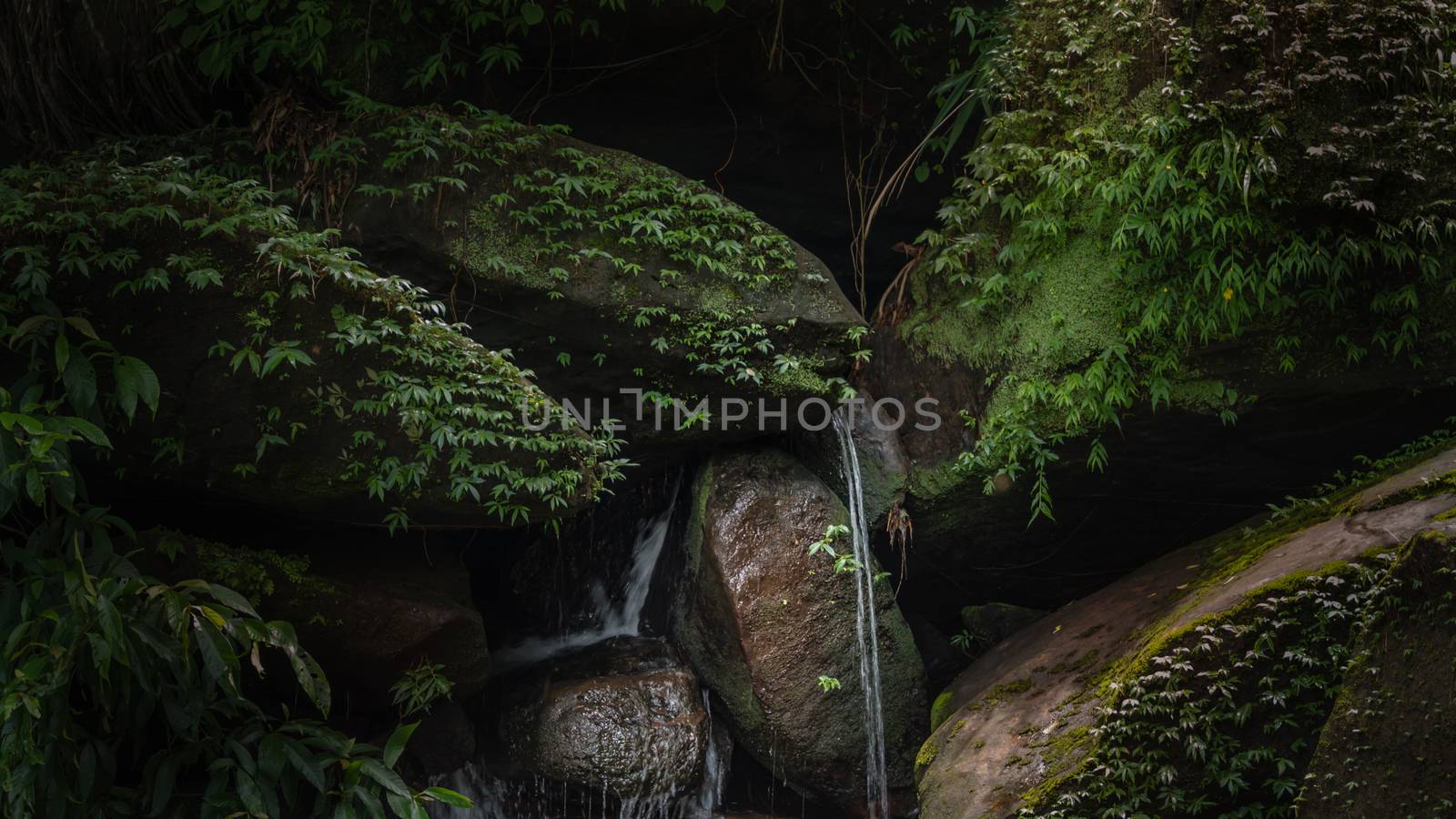 Stream in the tropical forest . Cascade falls over mossy rocks
