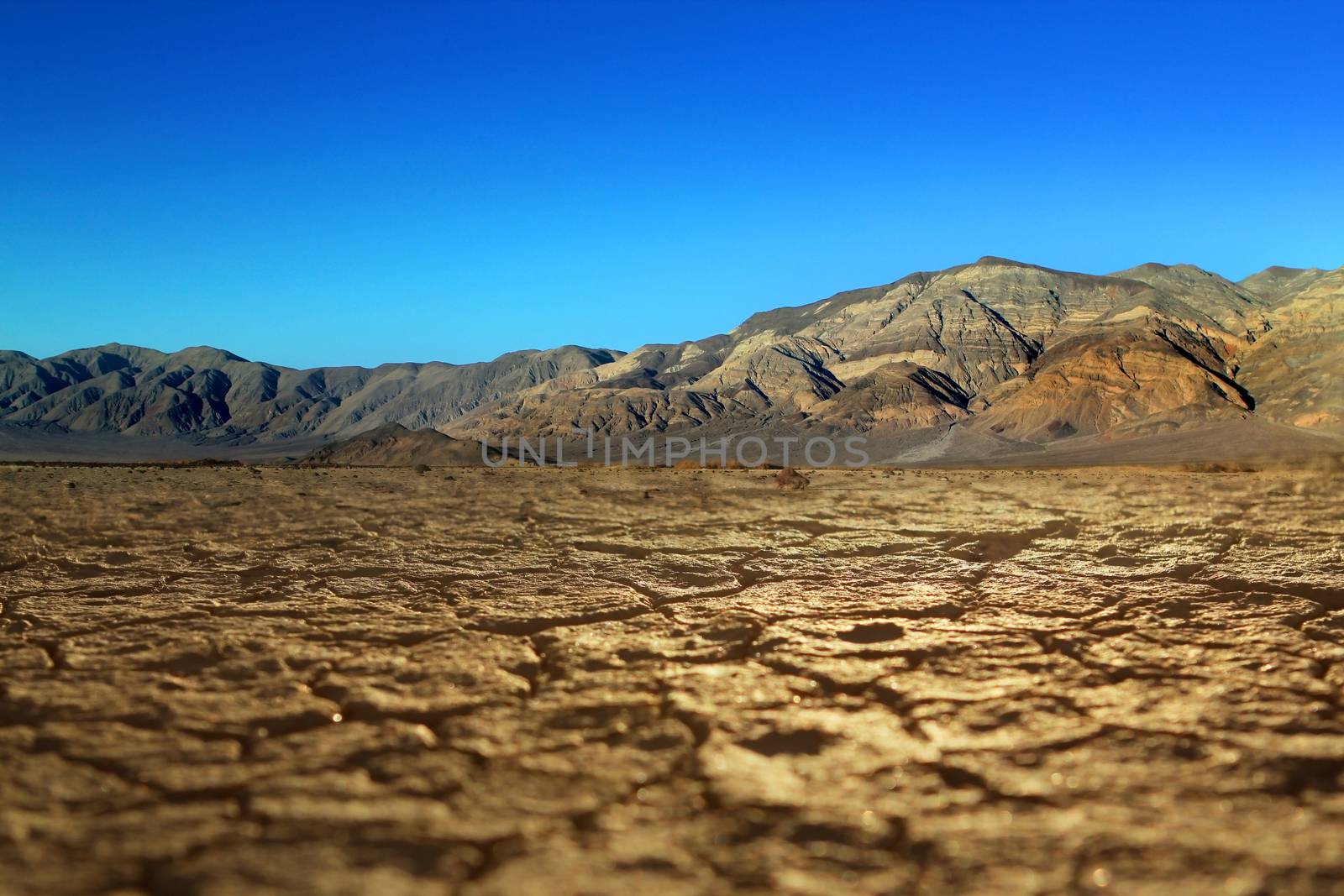 Bad water, deepest point in the USA, Saltsee mixed with minerals in the Desert Valley, deeper than sea level